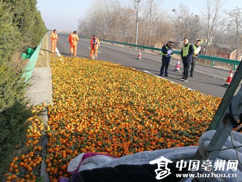 四千斤橘子洒落在高速公路。 (1)