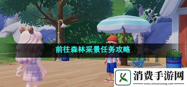 心动小镇前往森林采景怎么做前往森林采景任务攻略