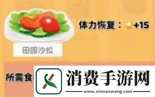 心动小镇烛光晚餐食谱配方都有哪些烛光晚餐食谱配方一览