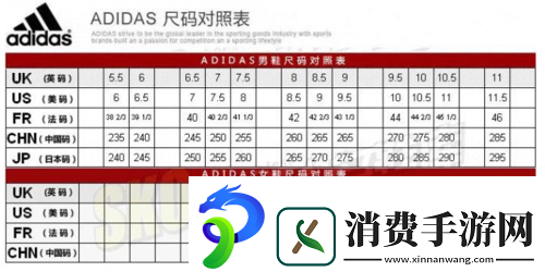 三叶草-M-码和欧洲码的对比：时尚尺码的秘密与选择指南