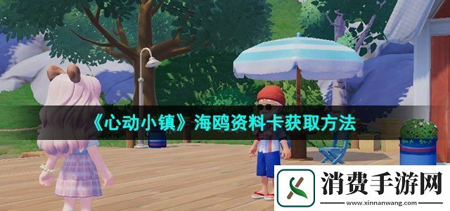 心动小镇海鸥资料卡怎么收集海鸥资料卡获取方法