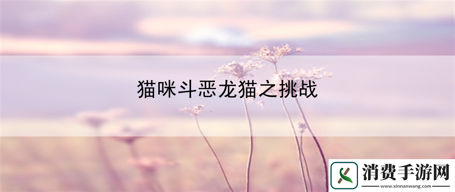 猫咪斗恶龙猫之挑战：团队配合新境界