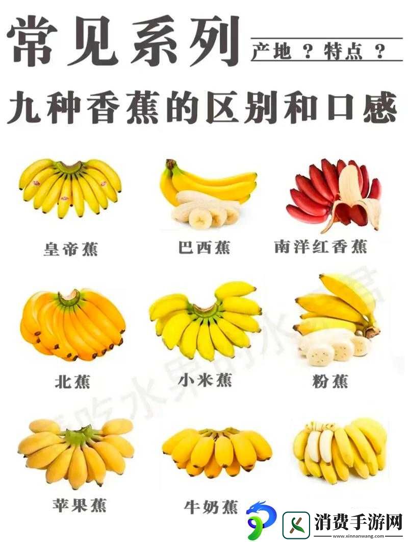 香蕉十八度和二十三度的区别：探究温度对香蕉的神秘影响