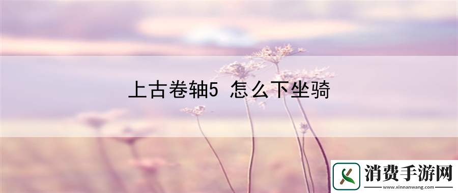 上古卷轴5怎么下坐骑：掌握资源管理与分配策略