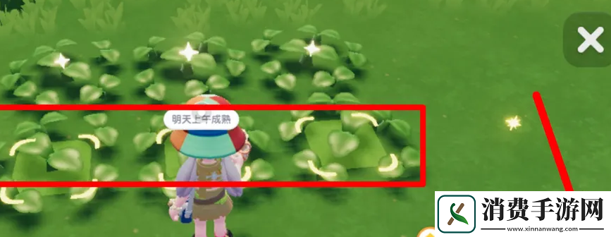 心动小镇怎么大范围浇水大范围浇水方法