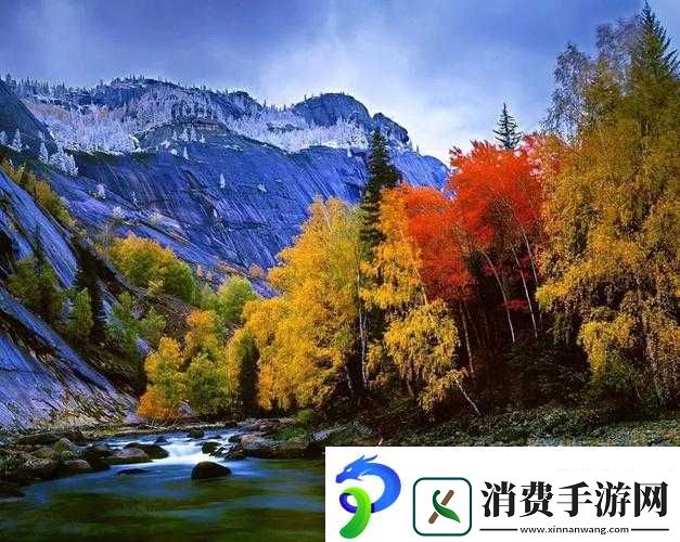 大手向下游走来到芳草地：探索神秘的自然之旅