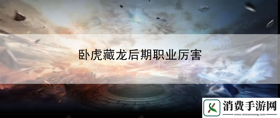 卧虎藏龙后期职业厉害：详解角色特殊技能效果