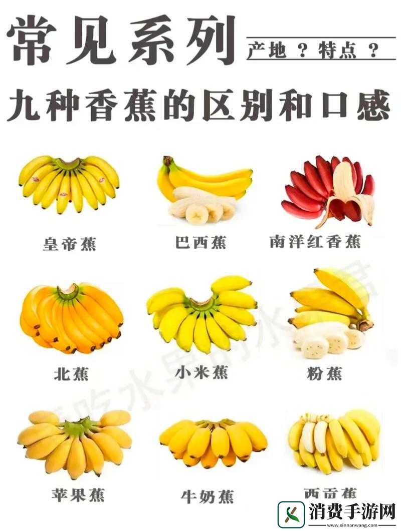 香蕉十八度和二十三度的区别：探索温度对香蕉的神秘影响