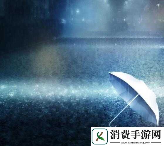 你晚上弄了好几个小雨伞：雨夜中的神秘行动