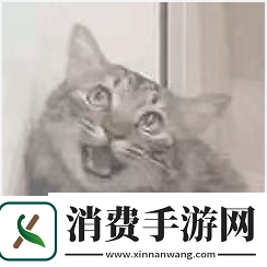 一劳永逸冒险与深渊资源福利系统大爆料五大宝箱无限资源