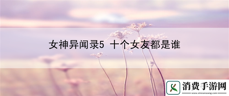 女神异闻录5十个女友都是谁
