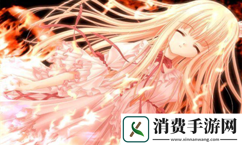 适合夫妻看的哔哩哔哩电视剧：增进感情的理想选择