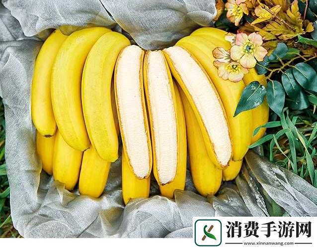 国产香蕉和进口香蕉的价格比较哪款更适合你的钱包