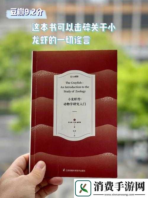站着从后面是不是要紧一些：深度解析背后的奥秘