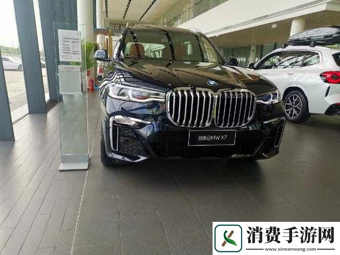 国产与进口-X7X7X7-槽性能对比评测：谁更胜一筹