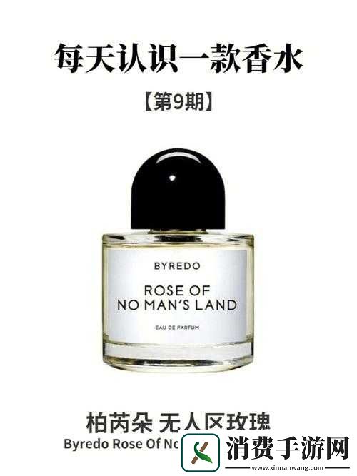 无人区玫瑰与夜色玫瑰的区别：为何它们成为香水界的热门话题