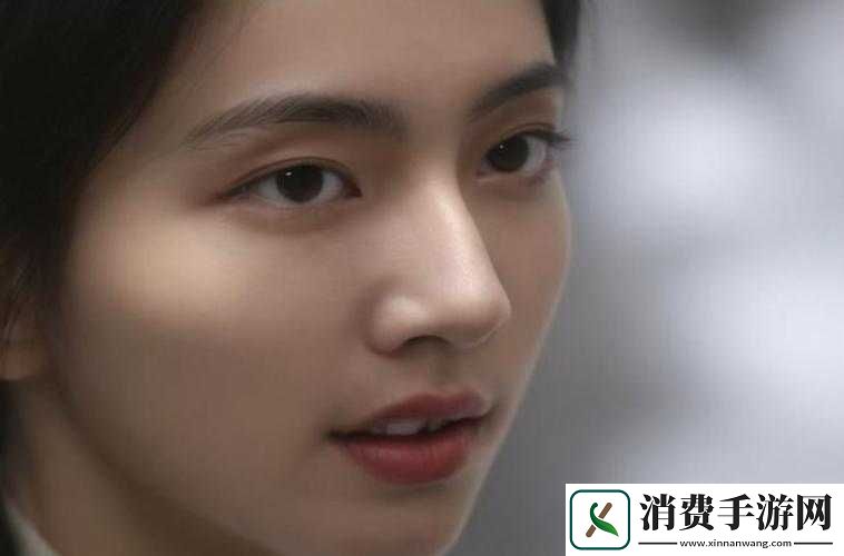 jagnexsmax-在日本：探寻神秘之旅