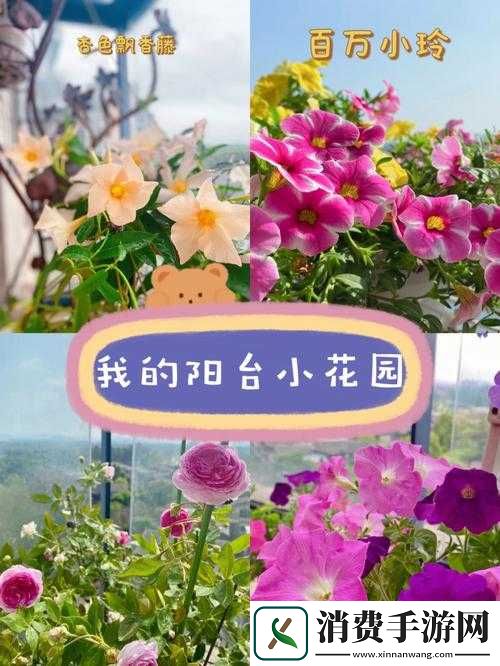 老公亲我的小花园爱我吗：情感探秘与解答的热门话题