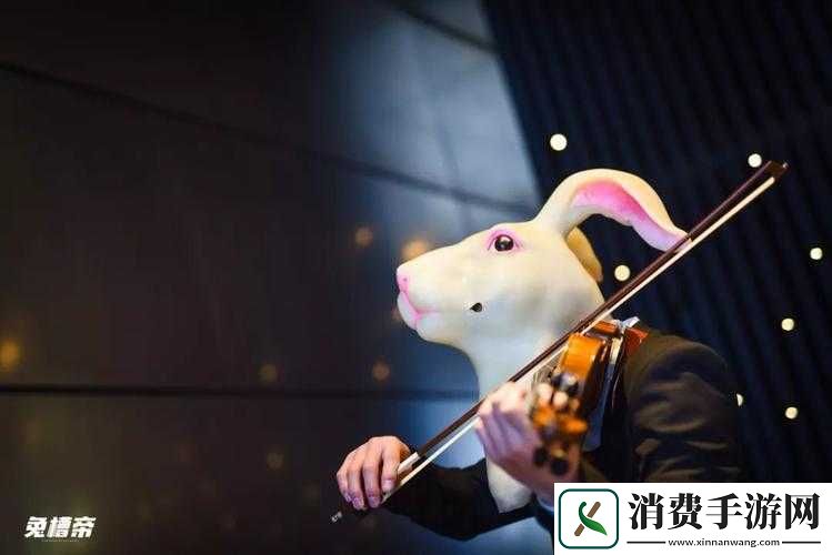 音乐老师兔子弹弹免费观看：全网疯传的神秘福利