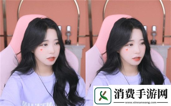 ACCA少女网课视频2023:最新的ACCA学习资源
