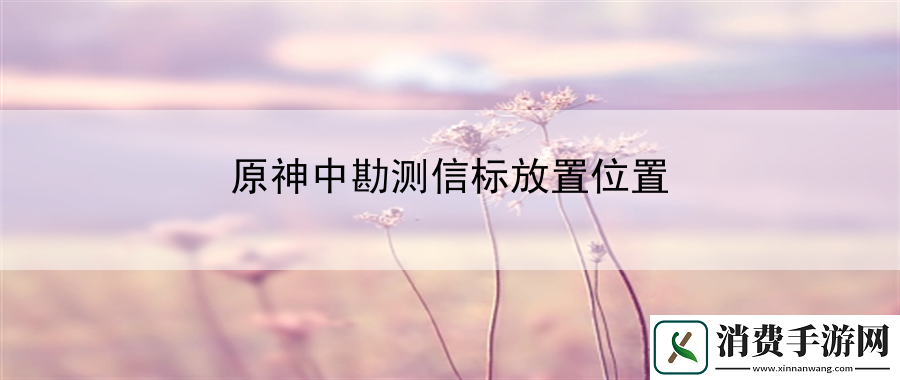 原神中勘测信标放置位置：不断升级技能提高角色的战斗力