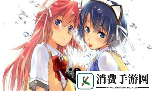 出租房里的交互高康张睿篇：探索共享空间的生活艺术