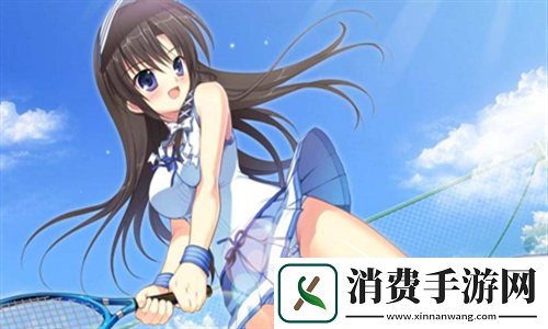 升温1v.1h类似：从数据到实践的演变