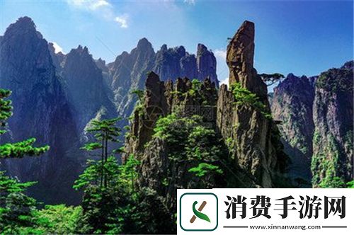 成品网站入口网页版怎样：选择与优化指南