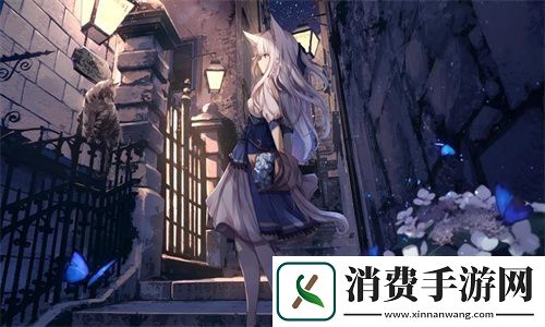 办公室能不能干湿你：职场环境与个人舒适度