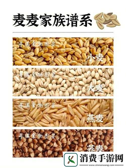 韩国朋友家的麦子：探寻韩国农业的神秘之旅
