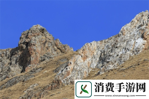 天涯明月刀手游携手99公益日邀你“益”起来守护雪豹