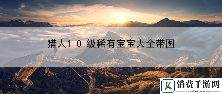 猎人10级稀有宝宝大全带图：掌握战斗节奏的控制