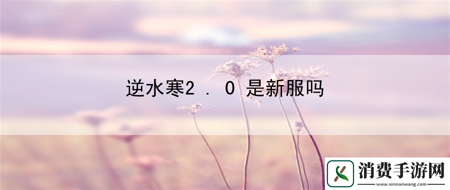 逆水寒2.0是新服吗：副本速刷与资源最大化