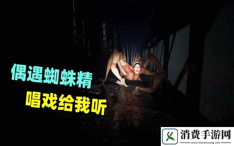 港诡实录蜘蛛精怎么过-蜘蛛攻略方法介绍