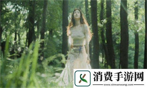 私人家庭影院3355的全新设计理念：从视觉到听觉的完美融合，提升家庭娱乐品质!