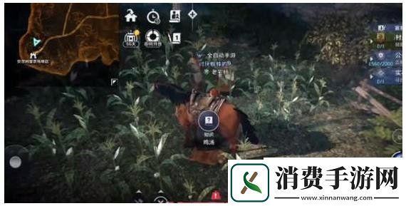 黑色沙漠鸡汤任务完成攻略鸡汤任务玩法步骤