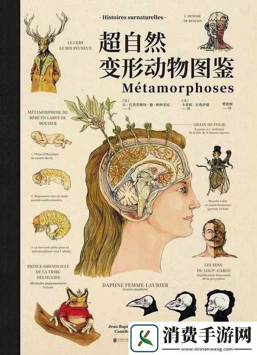 人马畜禽：探索自然与科技的融合