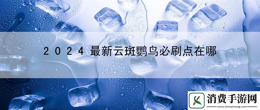 2024最新云斑鹦鸟必刷点在哪：分享高效的技能点升级方法