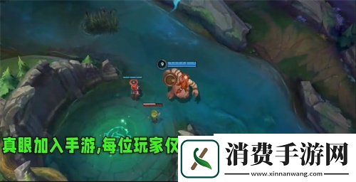 英雄联盟手游真眼作用介绍3.2版本中真眼介绍