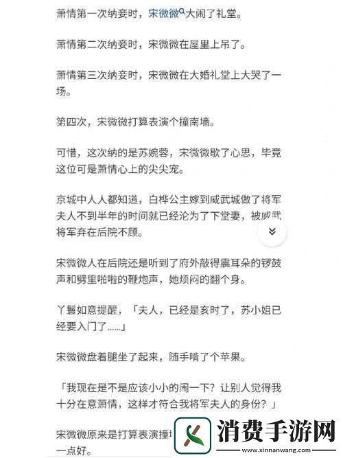 将军抱着公主走进营帐：一段传奇爱恋的开始