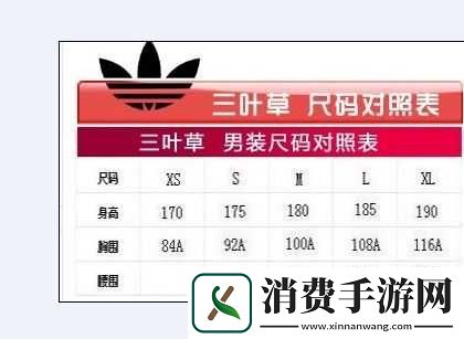 嫩叶草M码和澳洲码的区别：成为时尚界的热门话题