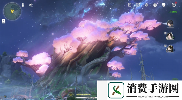 鸣潮妙宝堂的宝箱怎么开启：神秘宝箱获取秘诀