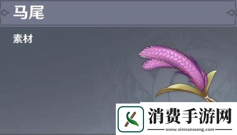 原神马尾获取方法及位置分布图马尾怎么获得