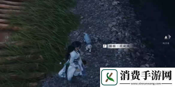 燕云十六声猫猫花旋风在哪猫猫花旋风位置介绍