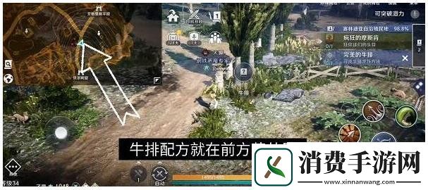 黑色沙漠完美的牛排任务完成攻略完美的牛排怎么完成