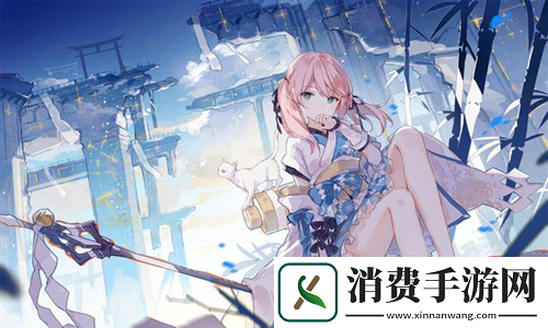 ysl蜜桃棕调色视频：探索时尚与色彩的完美融合