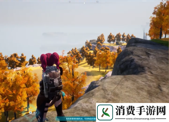 幻兽帕鲁建家选址推荐