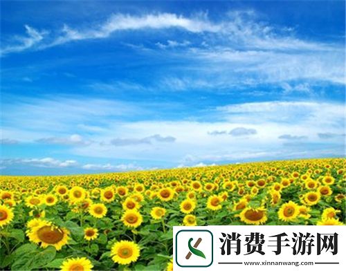 存活的方法是挨cnp免费阅读：如何找到免费资源及其价值