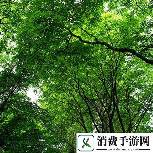 哈～c够了吗提纳里-：全面解析提纳里的角色与技能