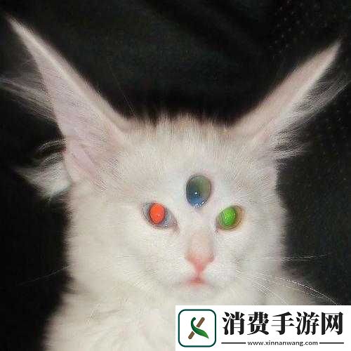 群星外星宠物有什么用-外星宠物作用解析攻略